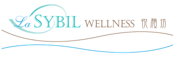 lasybilLogo
